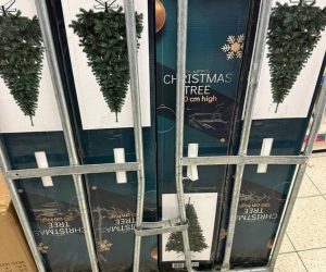 christmas tree for sale