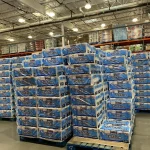 Buy Wholesale Costco Toilet Paper Liquidation Pallets Near Me